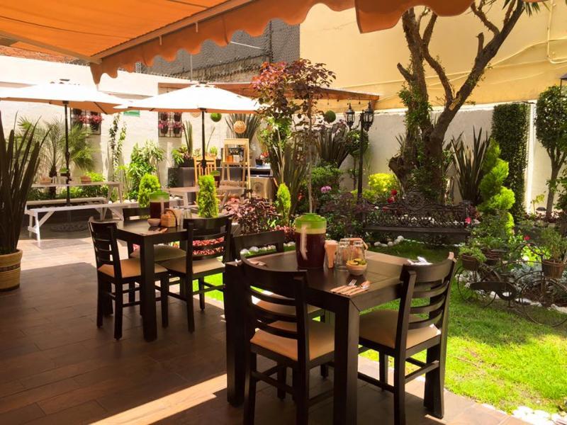 Steinhaus Suites Hamburgo Mexico by Eksteriør bilde