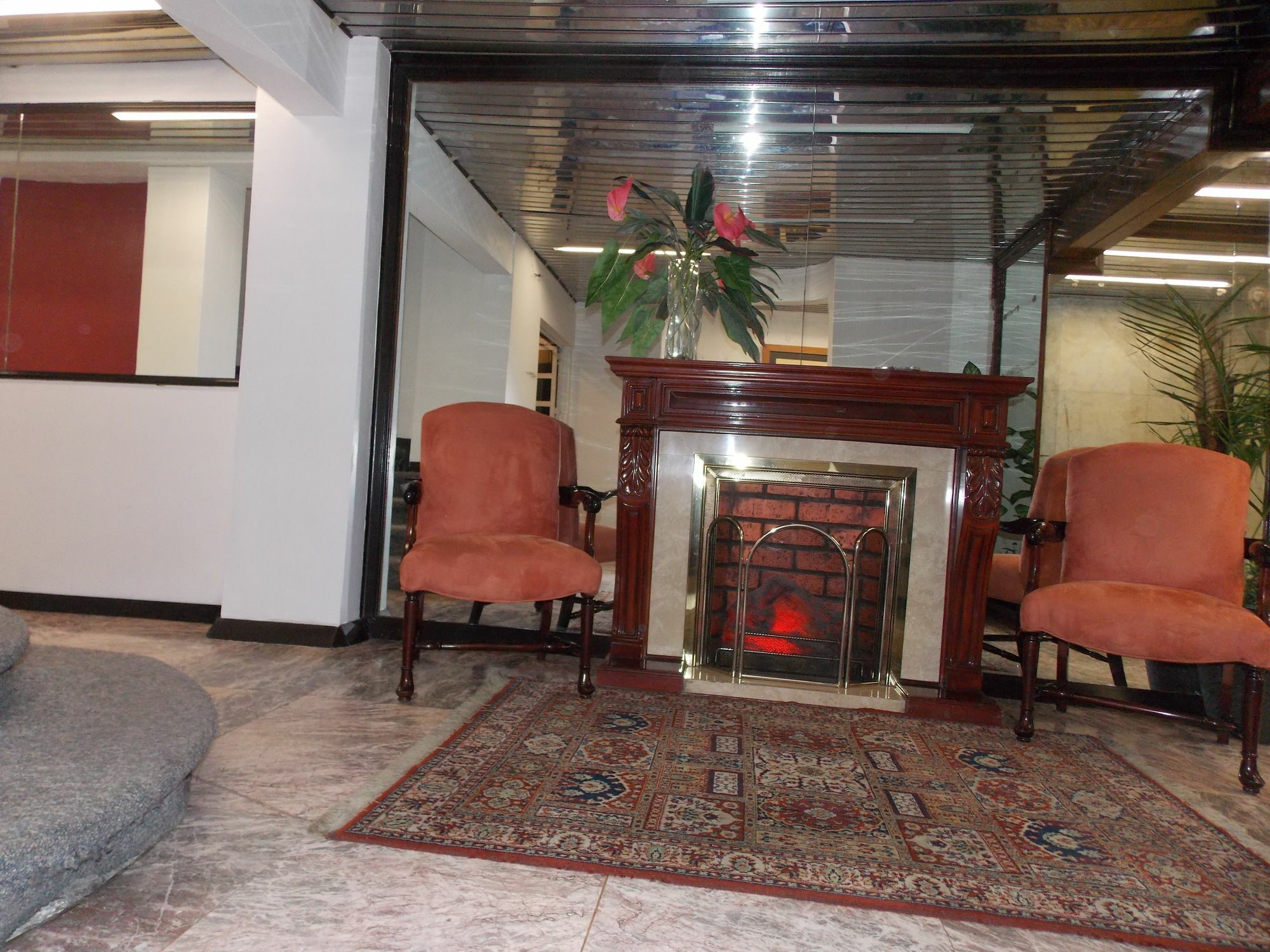 Steinhaus Suites Hamburgo Mexico by Eksteriør bilde